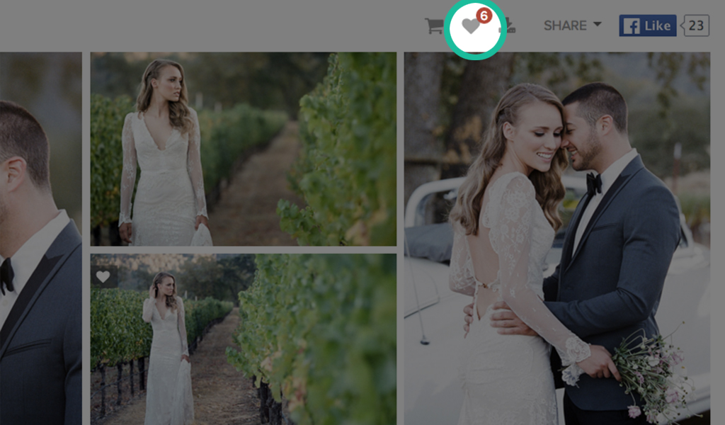 how-to-download-favs-0