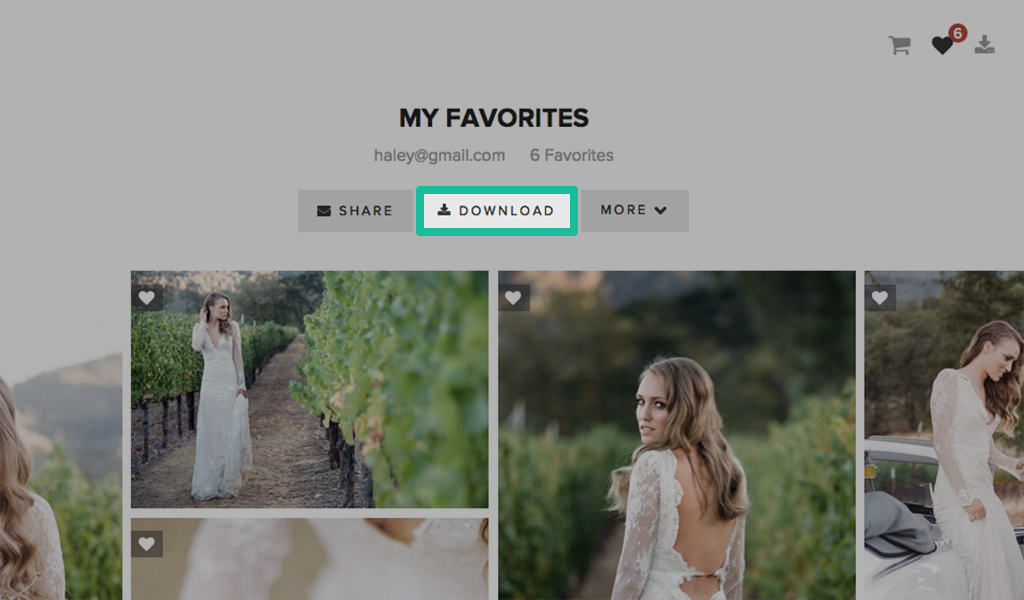 how-do-download-favs