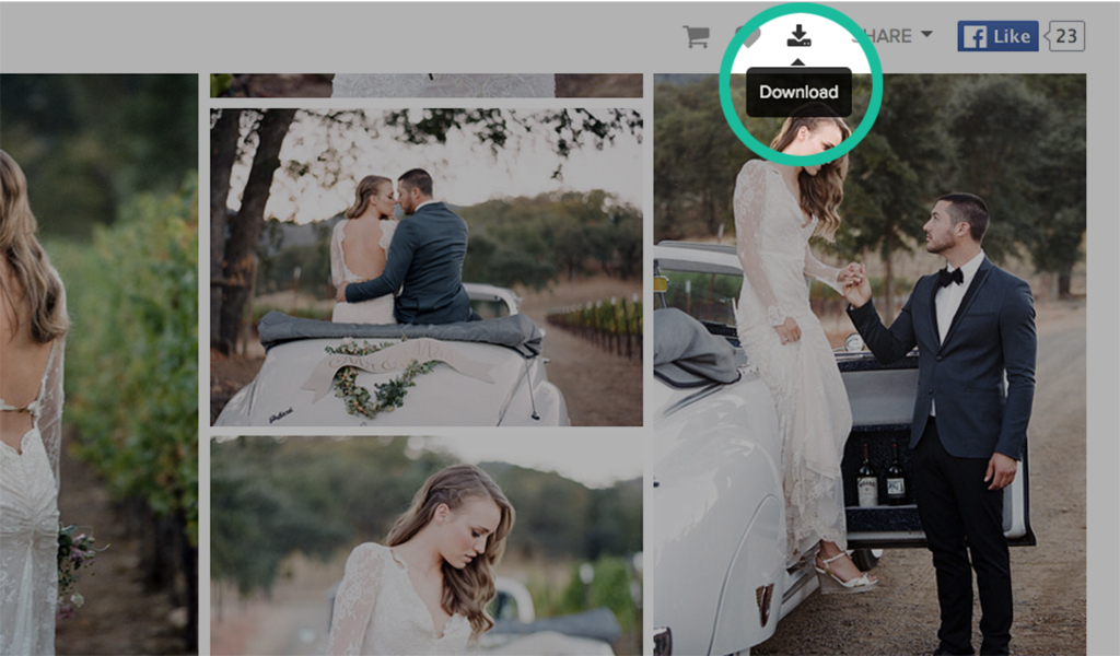how-to-download-gallery