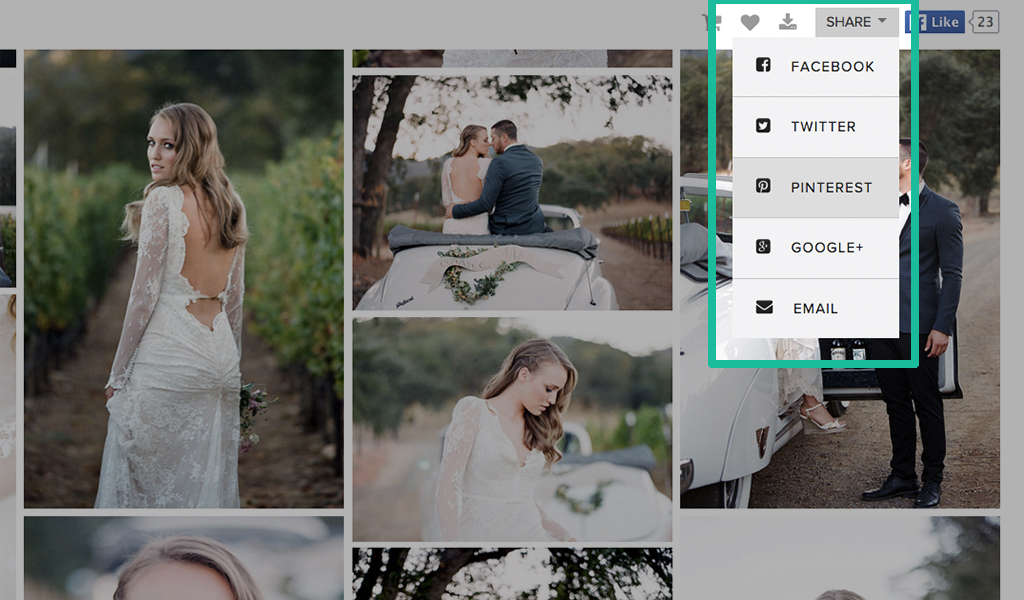 how-to-share-gallery